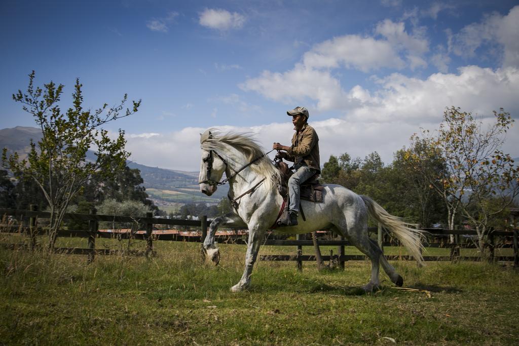 Hacienda Hosteria San Luis Cayambe Exteriér fotografie