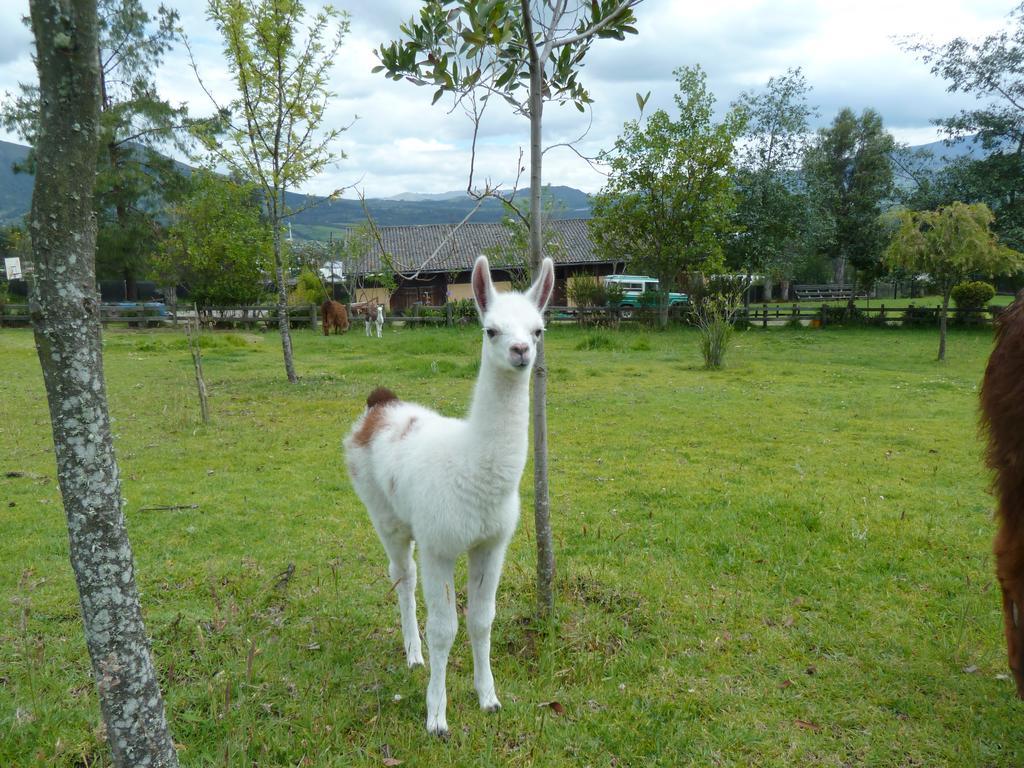 Hacienda Hosteria San Luis Cayambe Exteriér fotografie