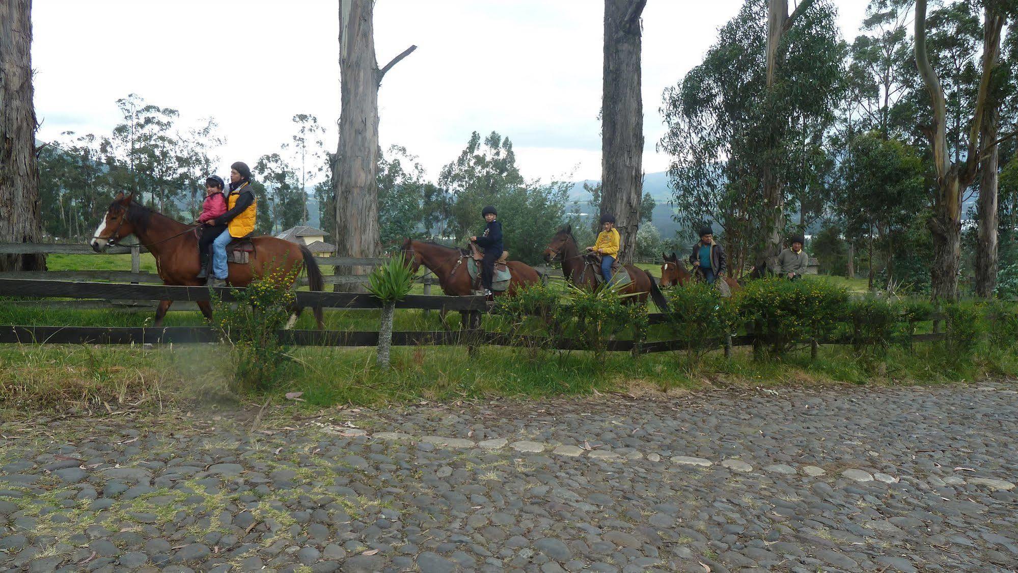 Hacienda Hosteria San Luis Cayambe Exteriér fotografie